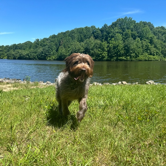 Meet your Posher, Kate - Picture 1 of 1